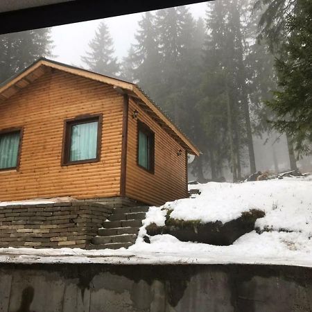 Family Hotel Ginger Pamporovo Dış mekan fotoğraf