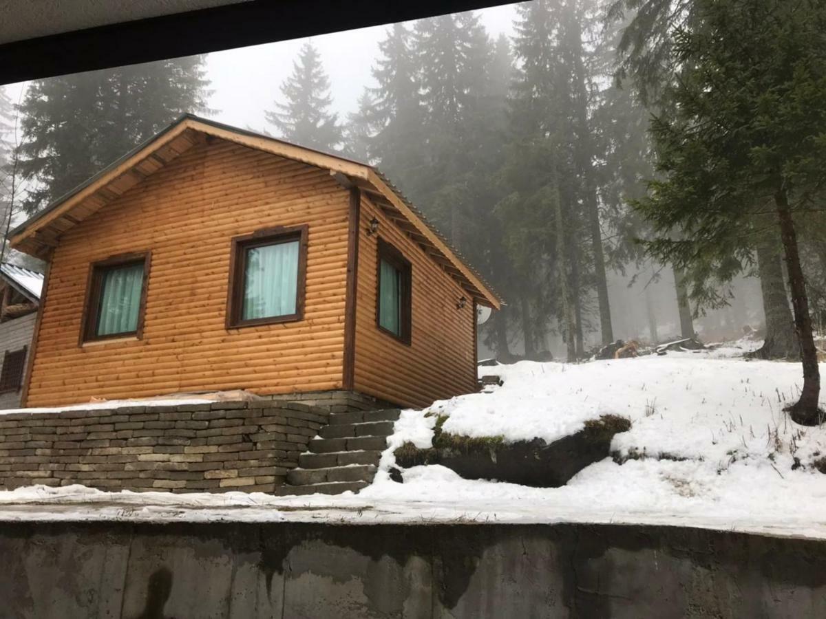 Family Hotel Ginger Pamporovo Dış mekan fotoğraf